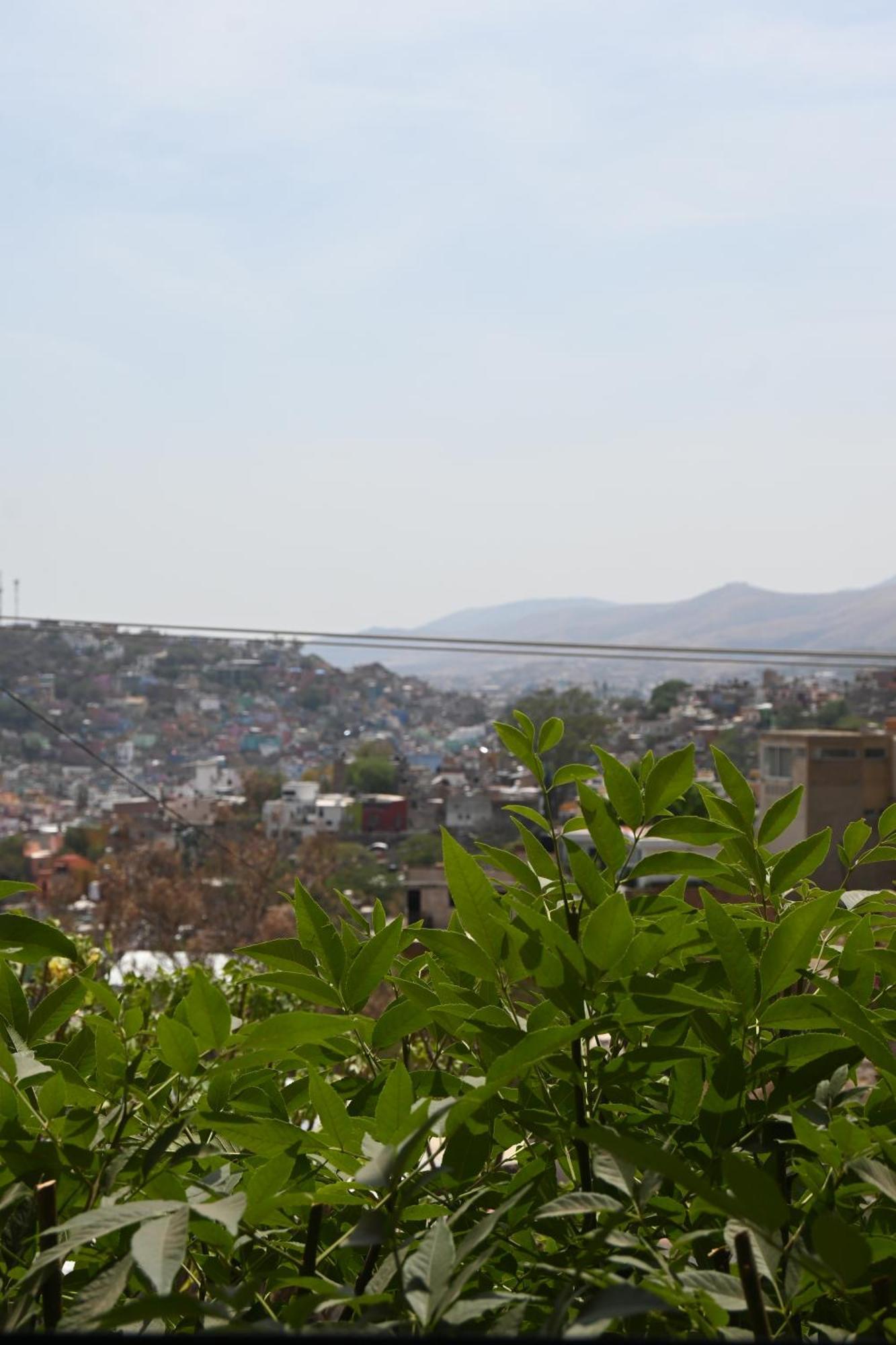 Hotel Casa 12 Reales Guanajuato Exteriör bild